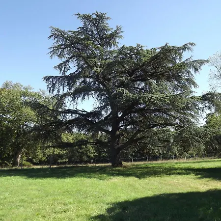 Διαμέρισμα Manoir De L'aisnerie