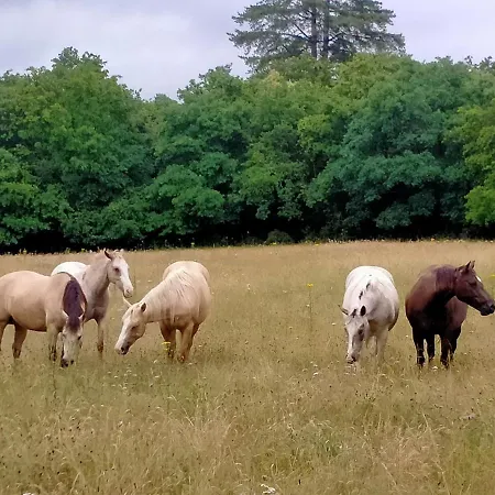 Manoir De L'aisnerie 公寓