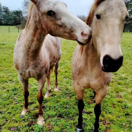 Manoir De L'aisnerie