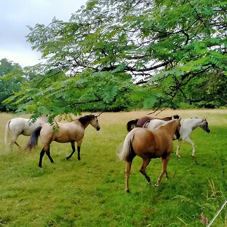 公寓 Manoir De L'aisnerie 圣埃尔布兰