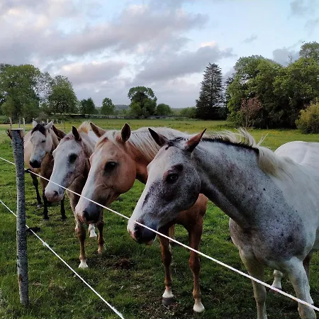 Manoir De L'aisnerie * Saint-Herblain