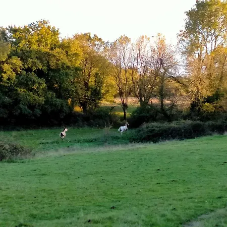 Manoir De L'aisnerie *