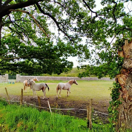 公寓 Manoir De L'aisnerie