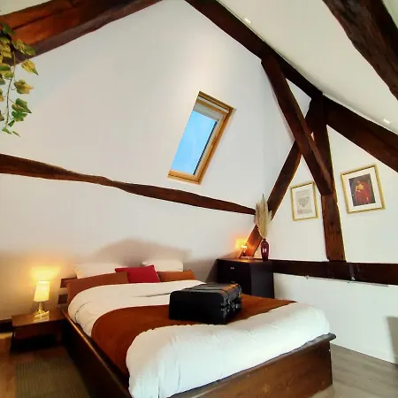 公寓 Manoir De L'aisnerie *