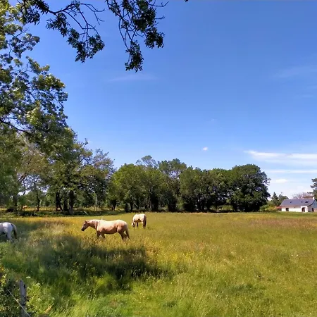 公寓 Manoir De L'aisnerie *