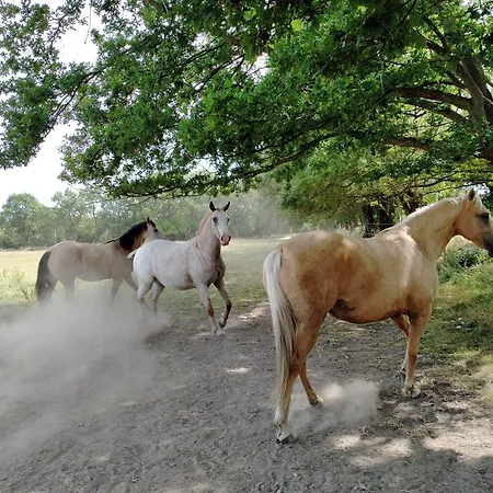 Manoir De L'aisnerie Διαμέρισμα Saint-Herblain