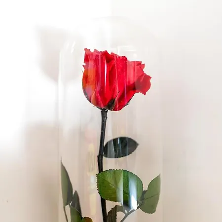 Manoir De L'aisnerie