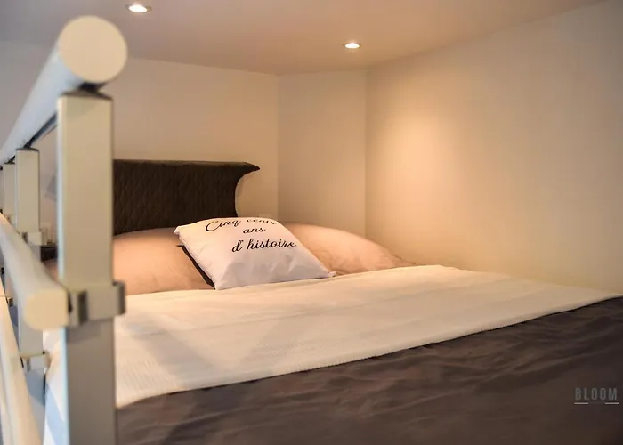 Appartement Manoir De L'aisnerie Saint-Herblain