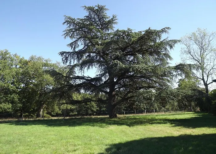 Lägenhet Manoir De L'aisnerie