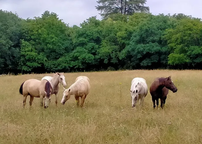 Manoir De L'aisnerie Appartement