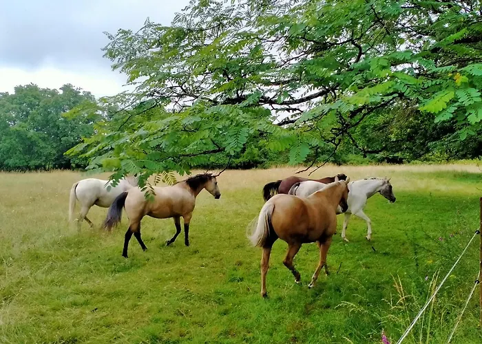 Διαμέρισμα Manoir De L'aisnerie Saint-Herblain