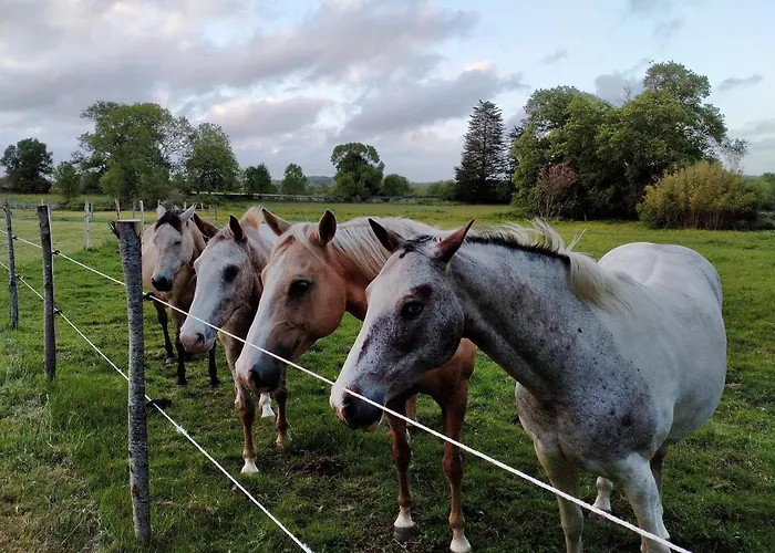 Manoir De L'aisnerie * Saint-Herblain