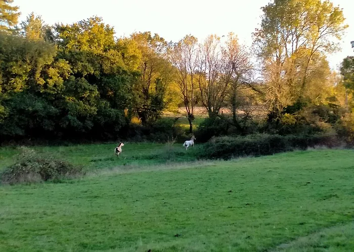 Manoir De L'aisnerie *