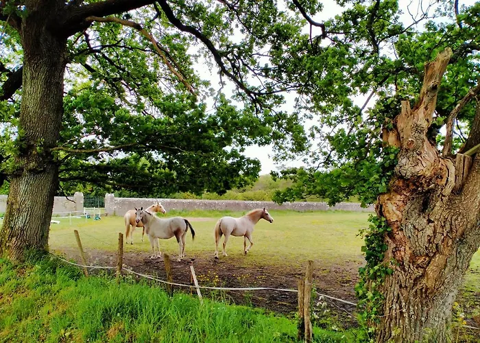 Διαμέρισμα Manoir De L'aisnerie