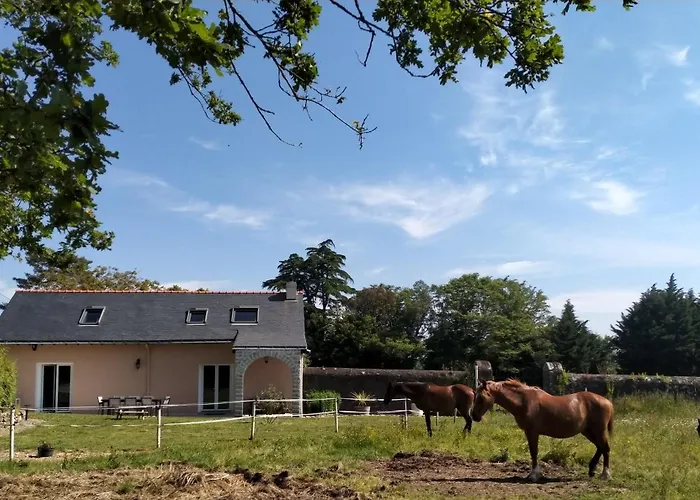 Manoir De L'aisnerie Appartement *