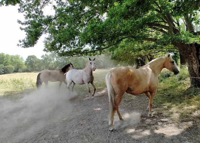 Manoir De L'aisnerie Appartement Saint-Herblain