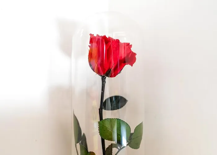 Manoir De L'aisnerie